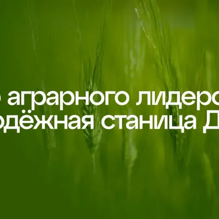 Центр аграрного лидерства «Молодежная станица Дон»