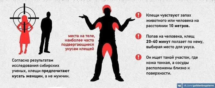 рпншщпнпщдшпг