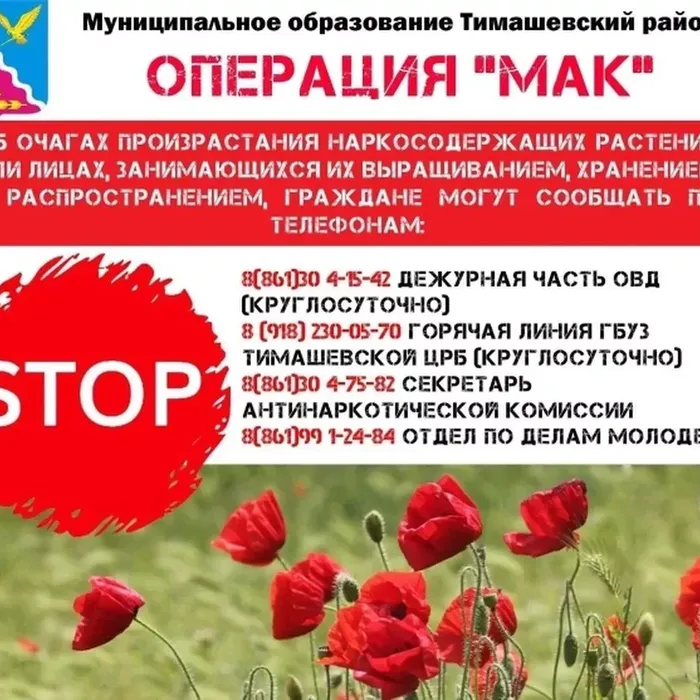 Операция "МАК-2025"