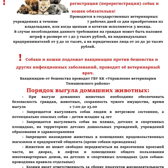 Памятка для владельцев домашних животных в Краснодарском крае