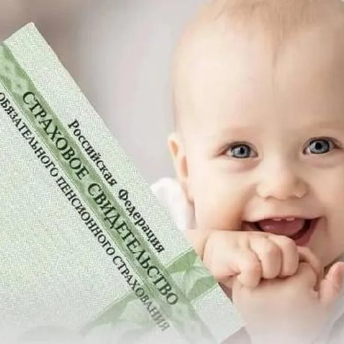 С начала года Отделение Социального фонда России по Краснодарскому краю проактивно оформило более 11,8 тысячи СНИЛС для новорождённых