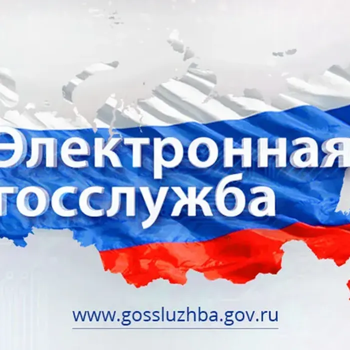 ФГИС «Единая информационная система управления кадровым составом государственной гражданской службы Российской Федерации»