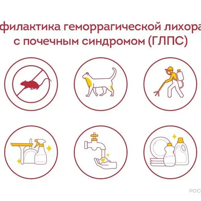 Роспотребнадзор напоминает правила профилактики геморрагической лихорадки с почечным синдромом