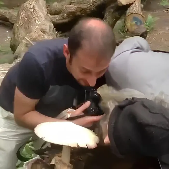 Разгар грибного сезона: будьте осторожны!