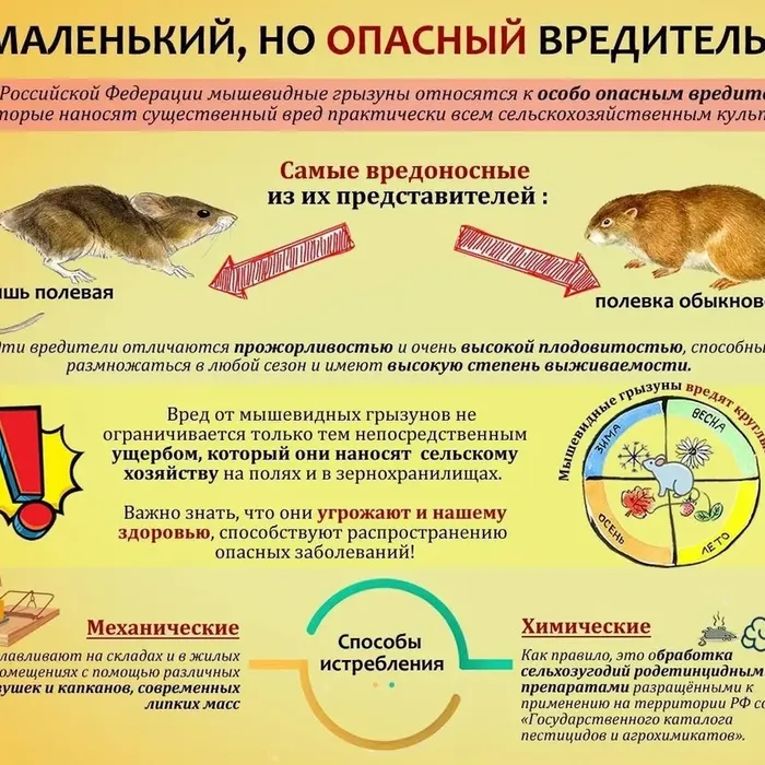 Рекомендации по проведению послеуборочного комплекса по снижению численности мышевидных грызунов