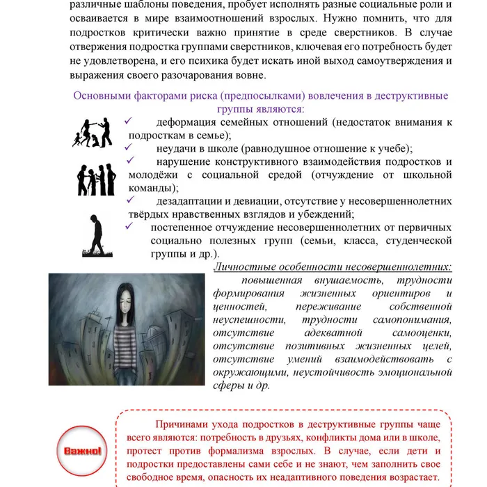 Профилактическая работа в сфере противодействия деструктивным молодежным движениям, в том числе через сеть Интернет