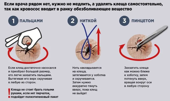 рпншщпнпщдшпг