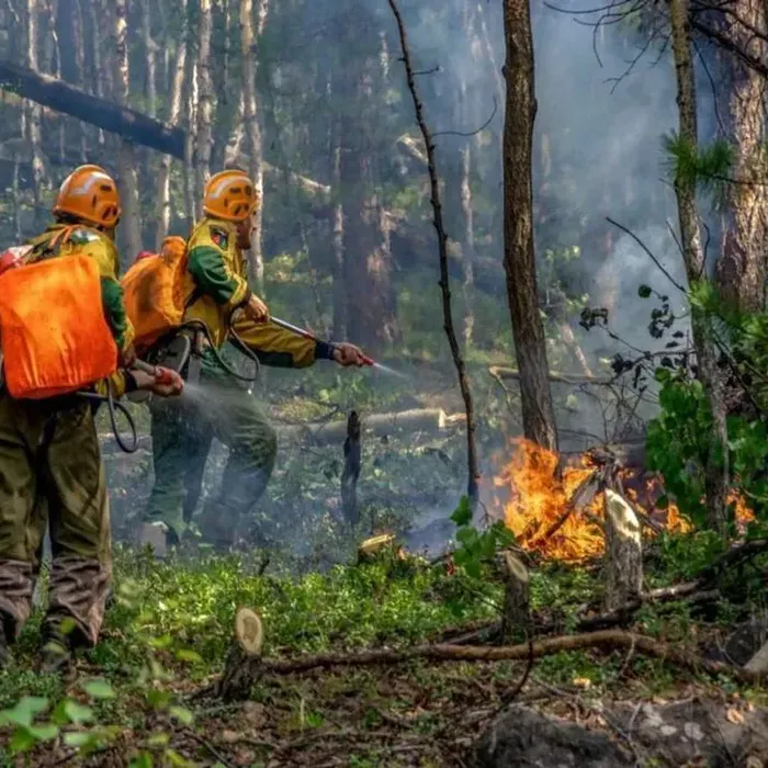 Cоблюдайте правила пожарной безопасности в весенне-летний пожароопасный период