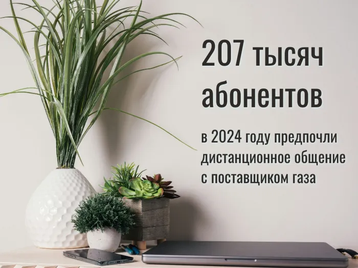 в 2024 г. 207 тысячабонентов